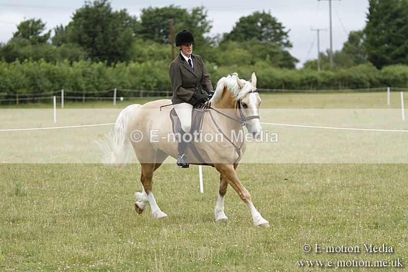 BVR160717-175 - Ring 3 BVRC Show 16/07/17