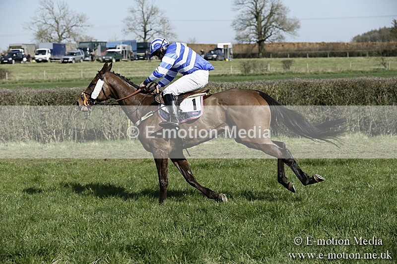 PtP 250317 141 - V.W.H. Hunt Point-to-Point Siddington 25/03/17