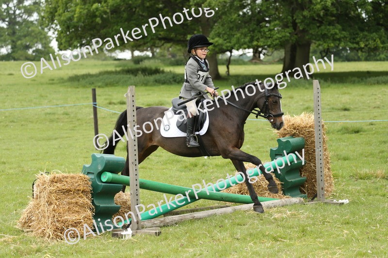 20250517-0476 - Class 20 - Beginners Working Hunter