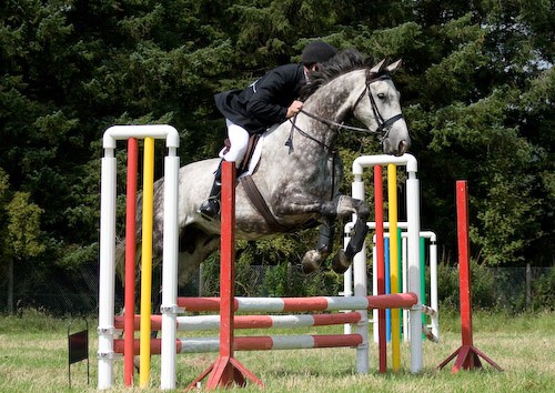 91 - Moniaive Horse Show 2008