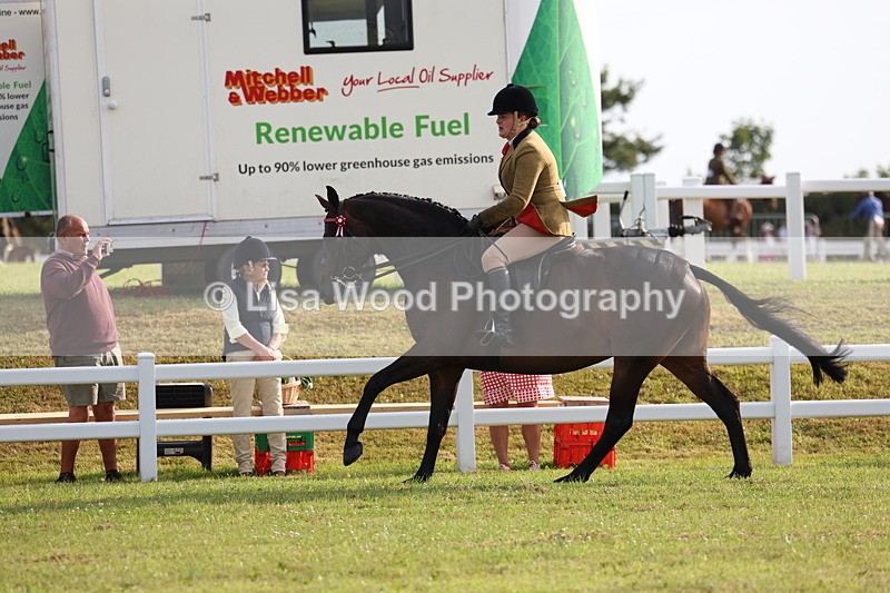 3E7A7743 - Class 1: Rising Star Small Hack/Riding Horses