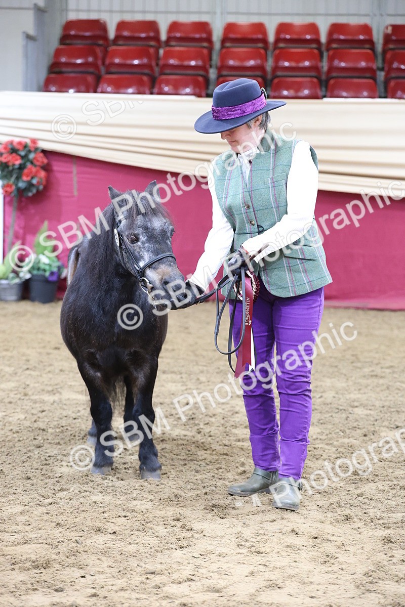 SBM_21898 - Class 901 - Supreme Final - IH  Diamond