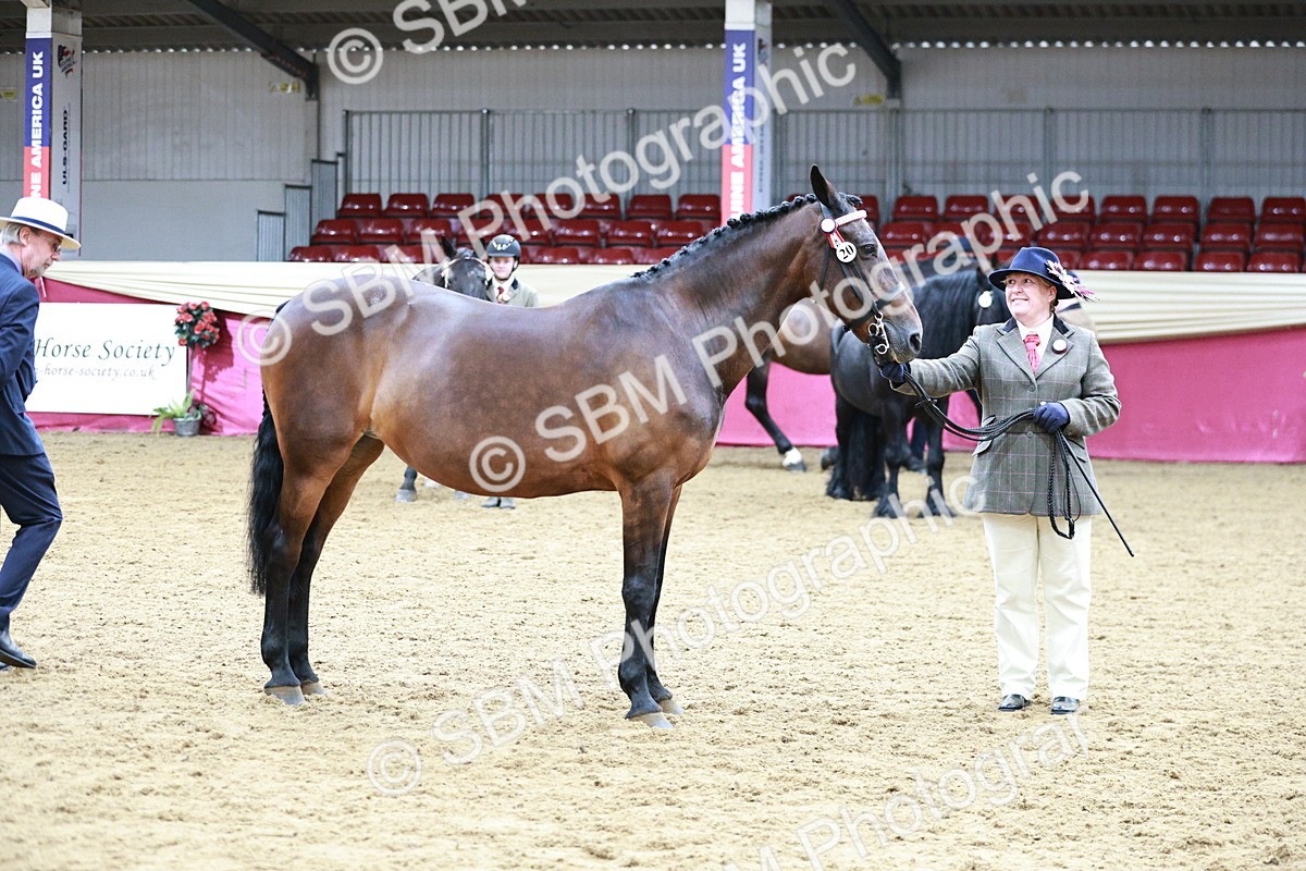 SBM_00923 - Class 2A - Area IH Veteran