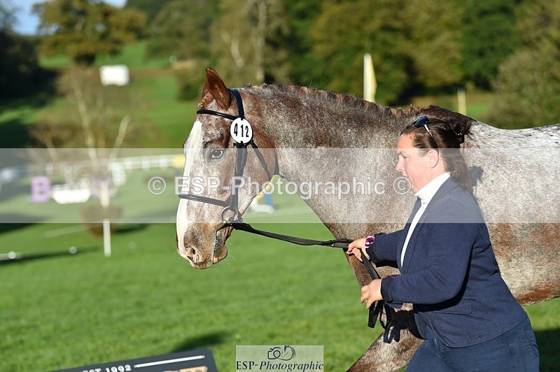 231022-093630-21913 - 412-KELTEK.LUDO-Tracey.Neville-TrotUp+SJ