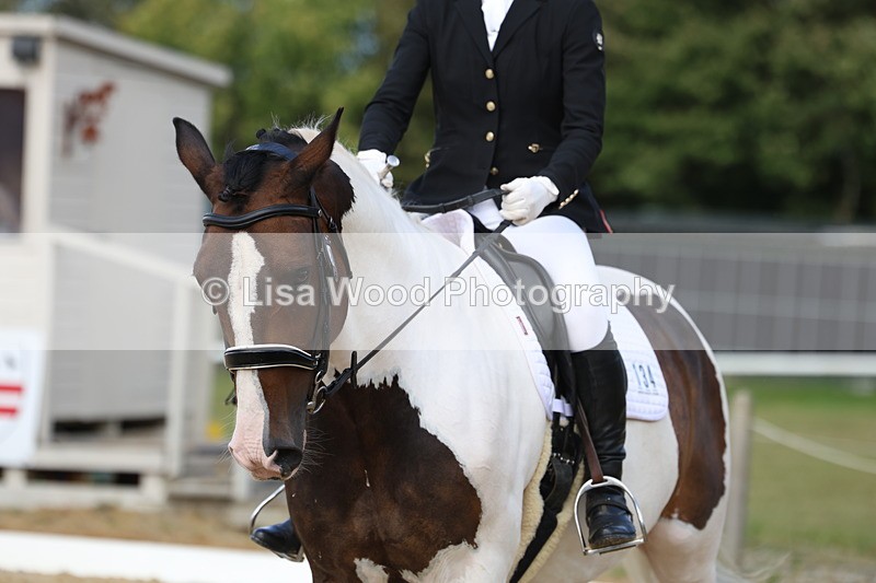 3E7A4176 - Class 9: Novice 6 Section B Championship