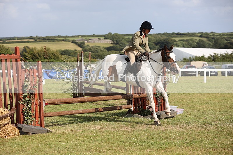 JPP_2810 - Class 20: Working Hunter 70cm