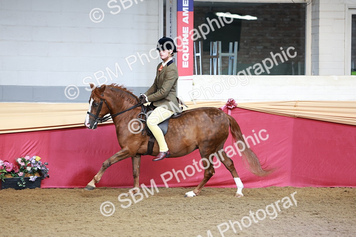 SBM_11910 - Class 102 - Equitation (Best Rider) Adult