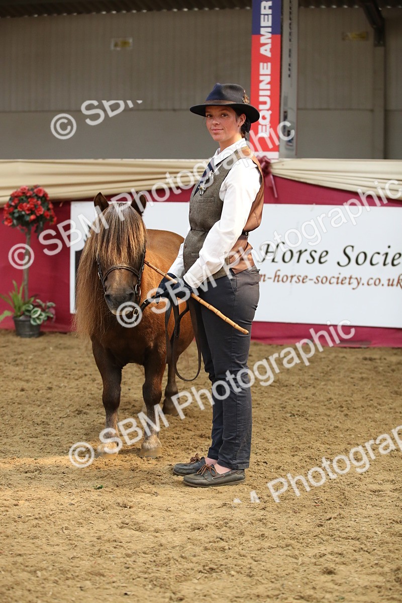 SBM_05406 - Class 8R - Regional IH Veteran