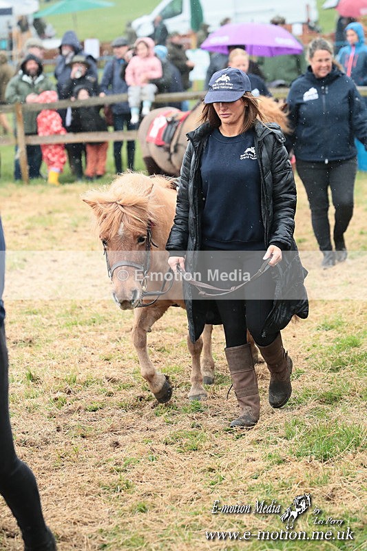 SHETPR 210425 39 - Shetland Ponies Paxford Races 21/04/25