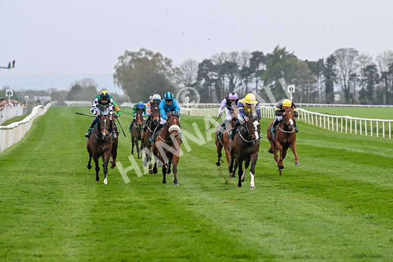 120425-Race 6-Musical Touch-1451 - Race 6