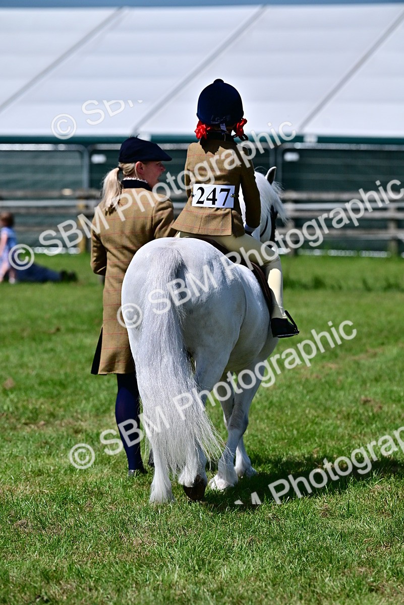 SBM_05880 - Class 59-60 - TSR M&M  Lear Rein and First Ridden Amateur of the year