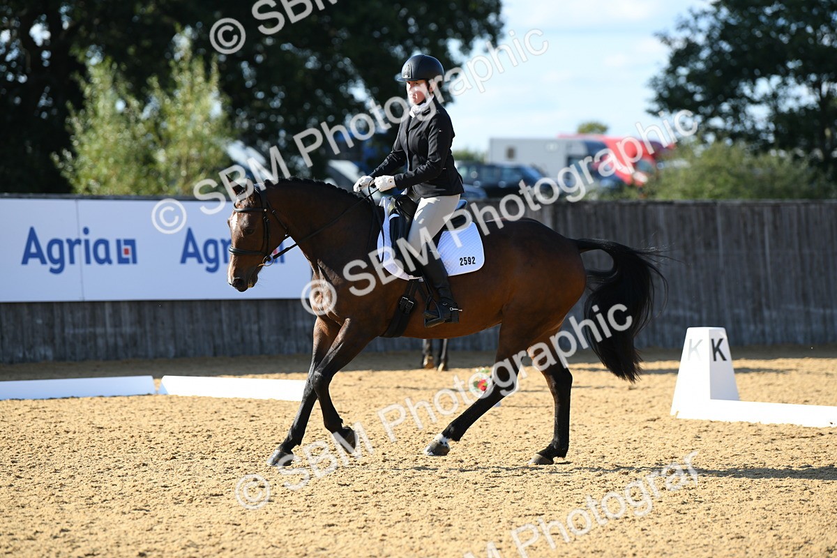 SBM_28424 - D16 - Small Tour Championship - Novice 28