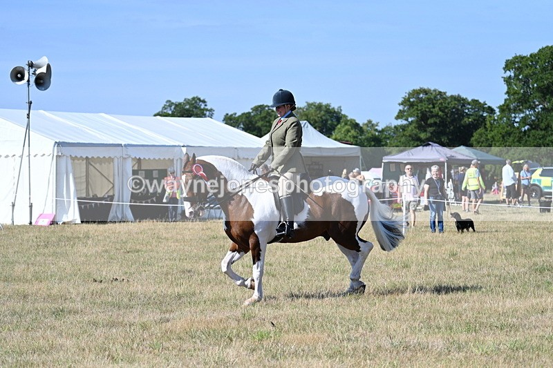 WJ7_3280 - Class 8 Ridden Tack & Turnout