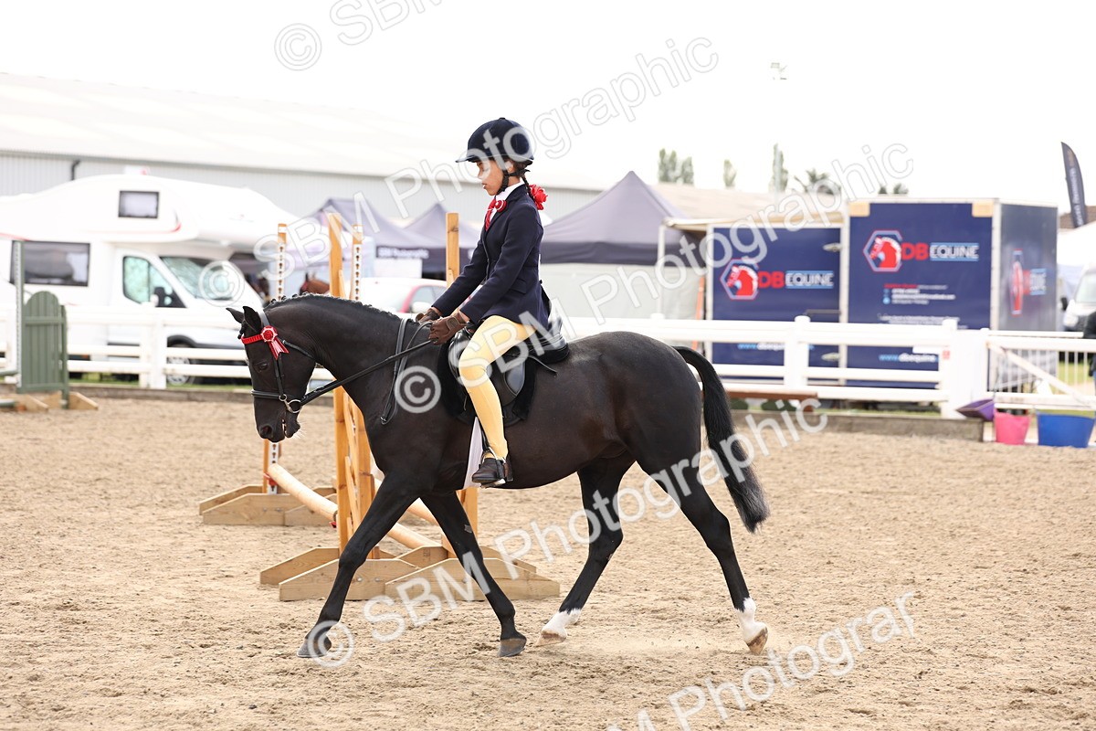 SBM_04249 - Class 54 - Riding Club Horse/Pony