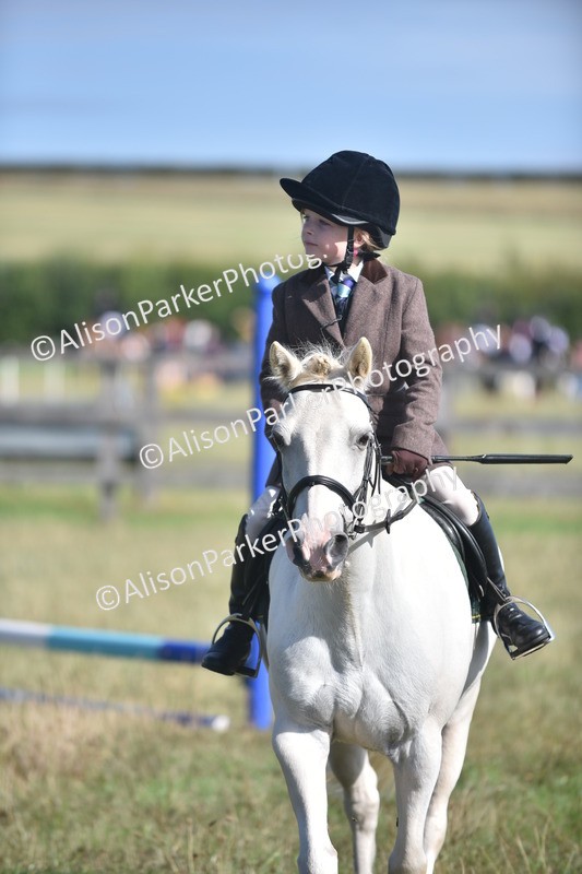 20260906-0953 - Class 7 - Absolute Novice Jumping 35cm