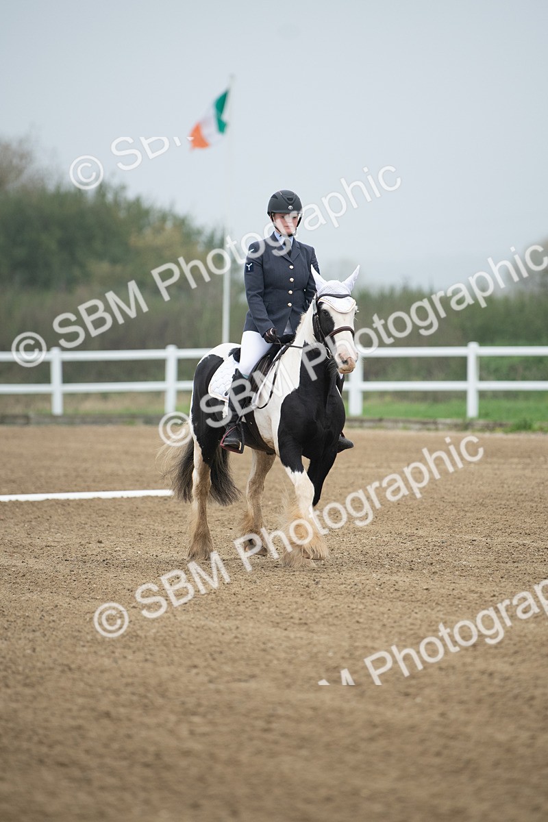 SBM_003355 - Introductory Test 3