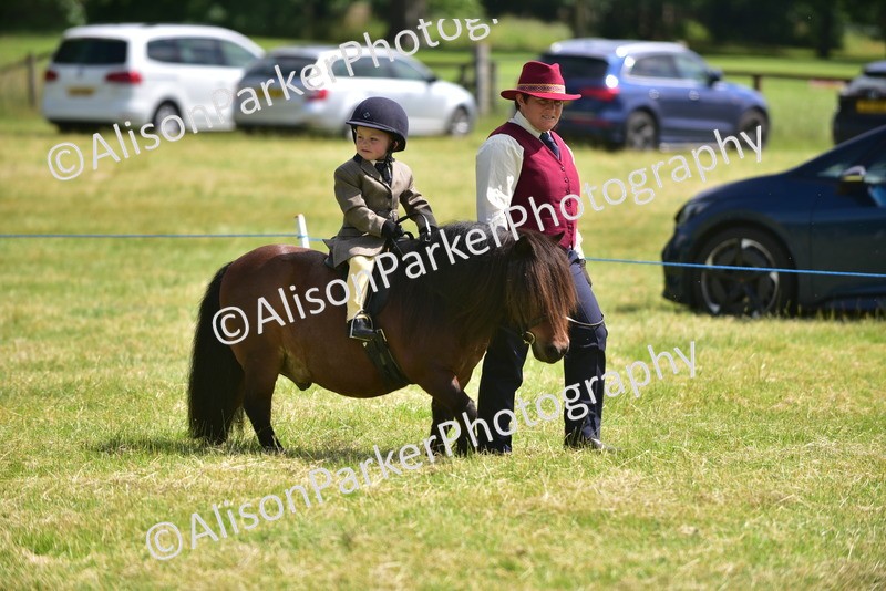 20260614-1111 - Class 11a - Lead Rein Pony (Unplaited)