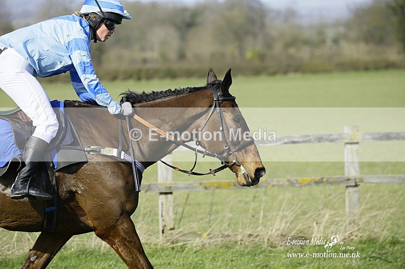 PtP 260222 402 - Kingston Blount Racing Club Point-to-Point 26/02/22