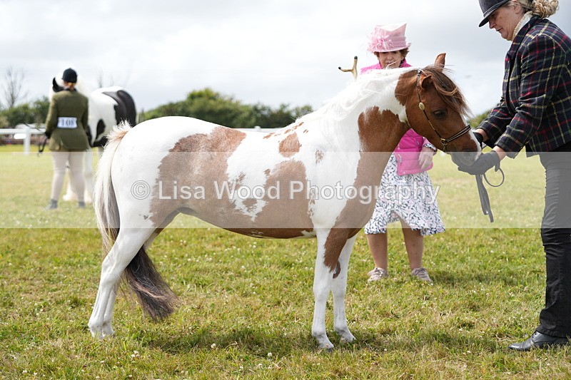 DSC06932 - Class 60: Coloured Pony 4yrs & over