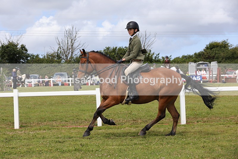 1X9A4023 - Class 32: Show Hunter Pony 153cm and under