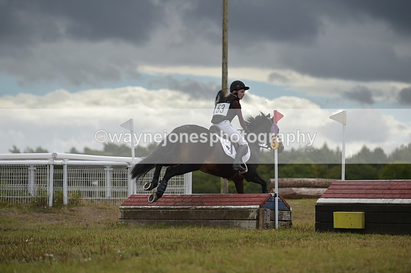 NGP_1981 - XC Time 11:20 to 11:36