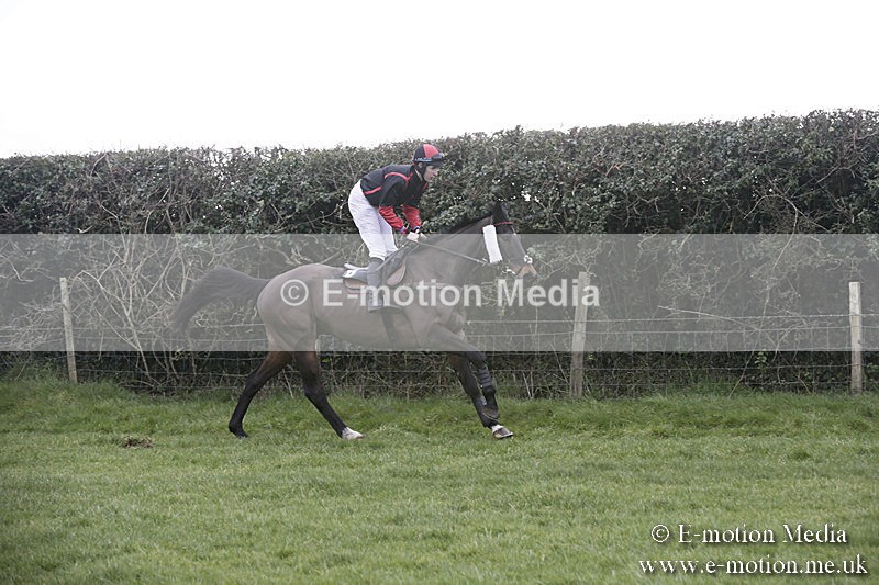PtP 040218 137 - Point-to-Point Milborne St Andrew 04/02/18