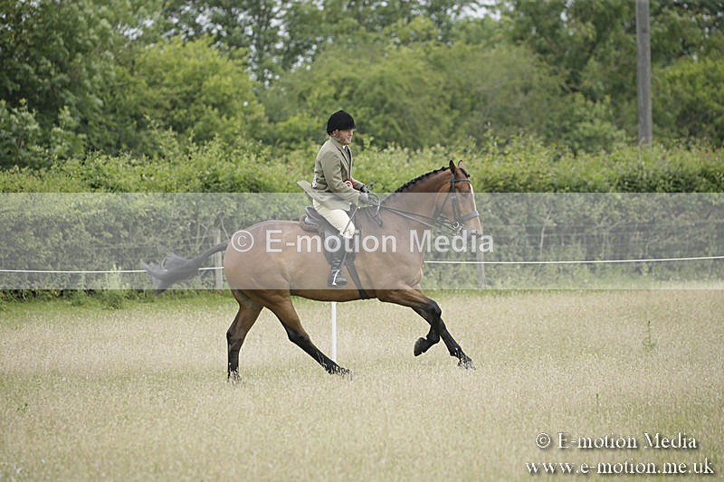 B230619-0965 - Bourne Valley Riding Club Summer Show 23/06/19