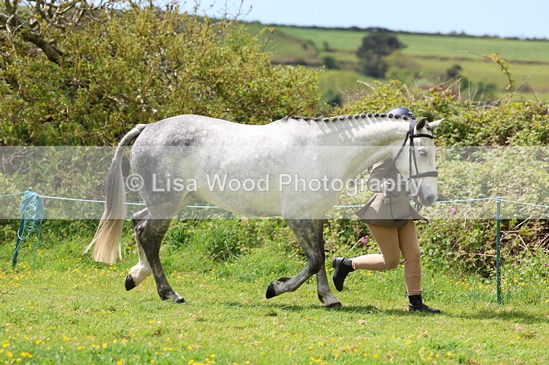 3E7A0447 - Class 20: Sports Horse