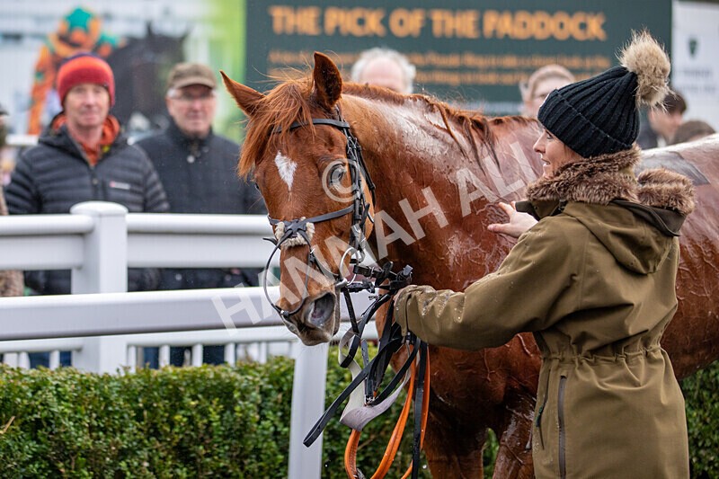 171224-Race 4-Wise Eagle-0248 - Race 4