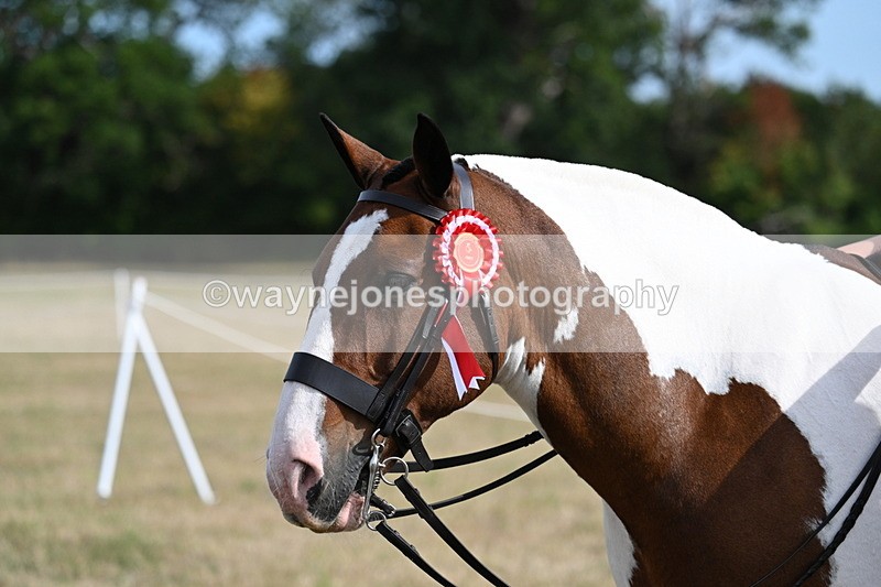 WJ7_7947 - George ...