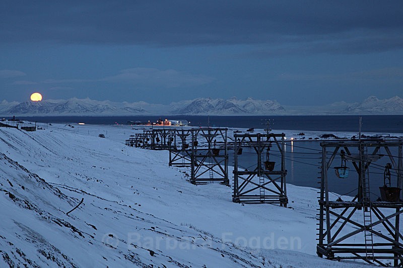 Longyearbyen 13 - Latest Photos
