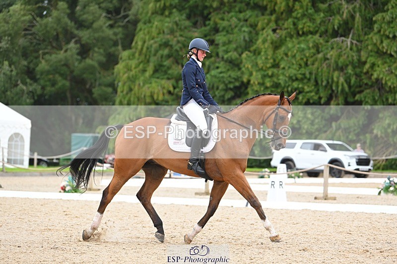 230813-132852-07575 - Cls 13 Medium Bronze 13.15 to End
