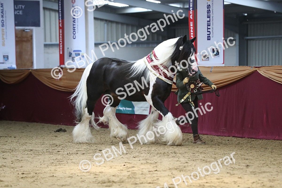 SBM_06604 - Regional IH Champ