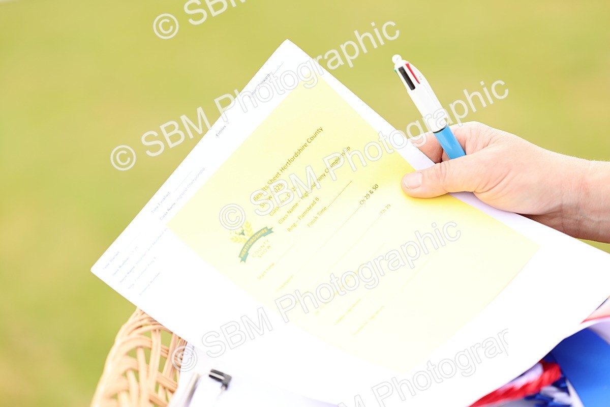 SBM_00645 - Class 58-67 - M&M Non Welsh Pony In hand