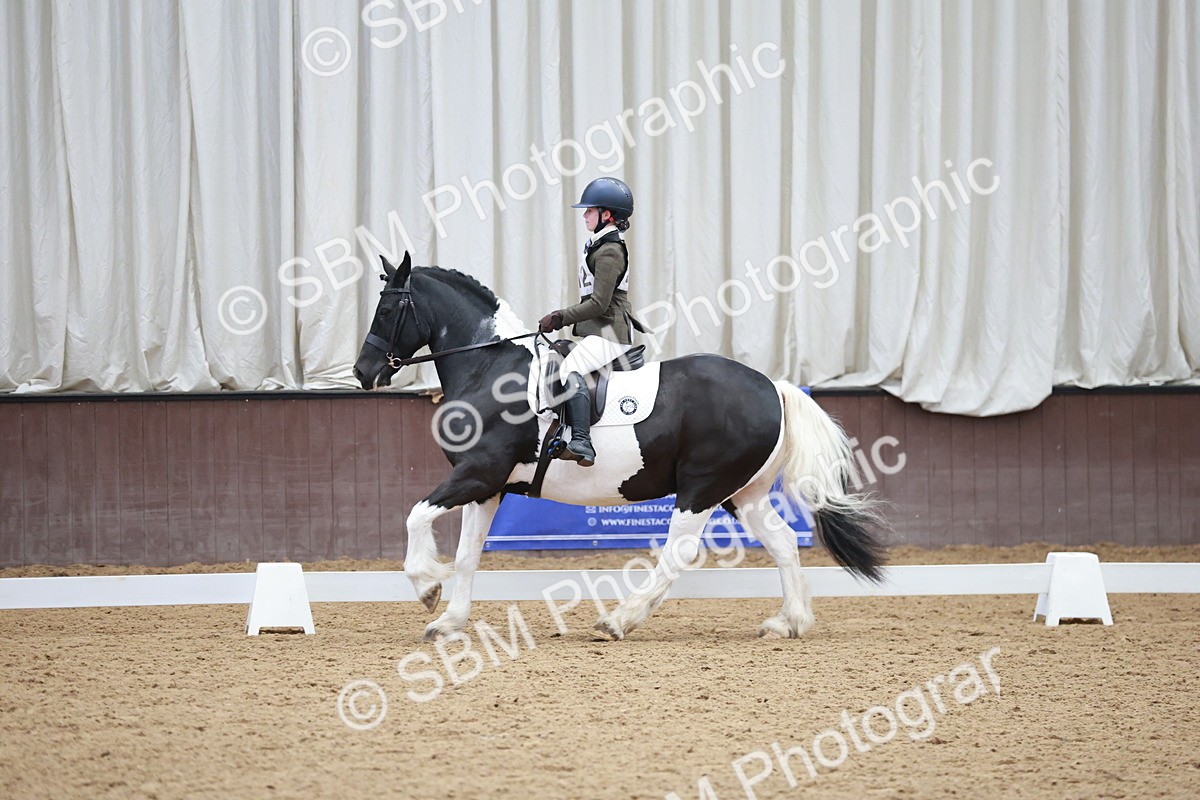 SBM_003875 - Class 2 - Novice 2020