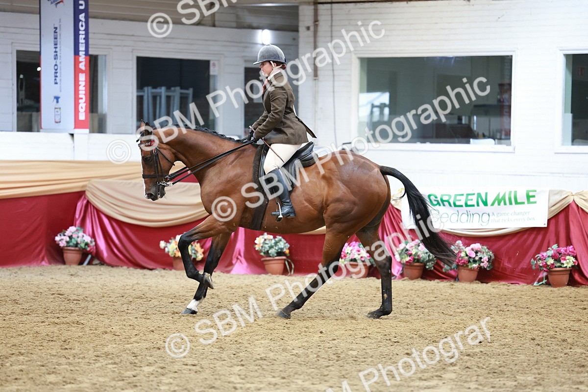 SBM_14917 - Class 108 - Ridden Retired Racehorse