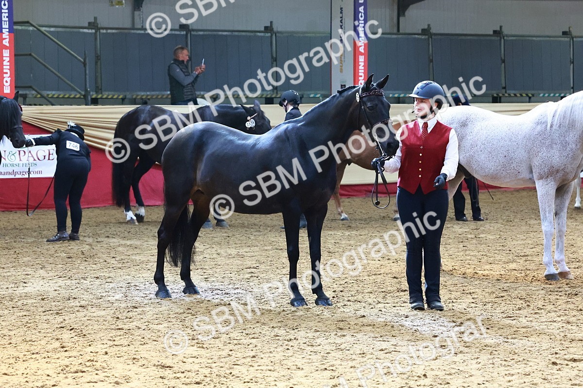 SBM_22411 - Class 902 - Supreme Final - IH Diamond