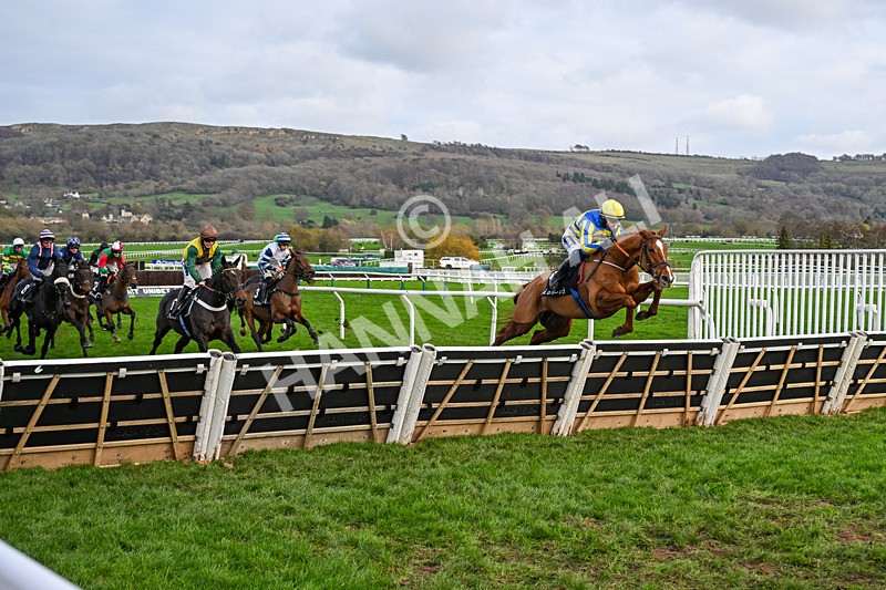 161125-Race 1-Astelia-5563 - Race 1