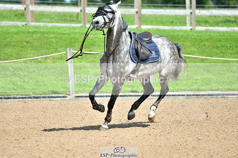 230723A-154056-13474 - Cls 36, 7 Yr Olds 1.30m