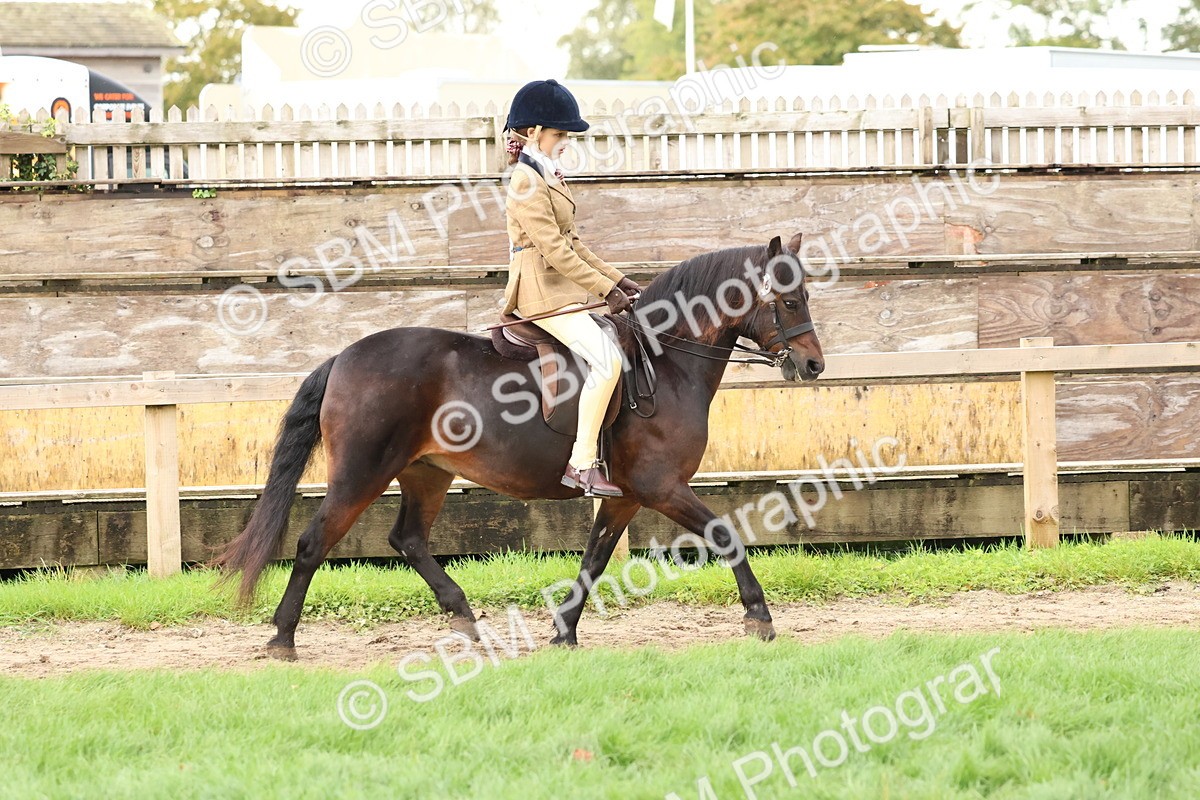 SBM_44953 - S27 - Young Veteran Ridden