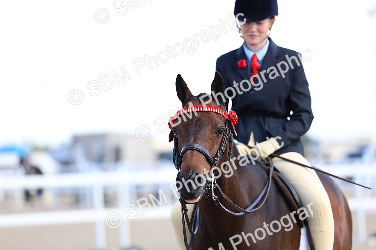 SBM_13343 - Class 311 - Ridden Show Pony Show Hunter Pony