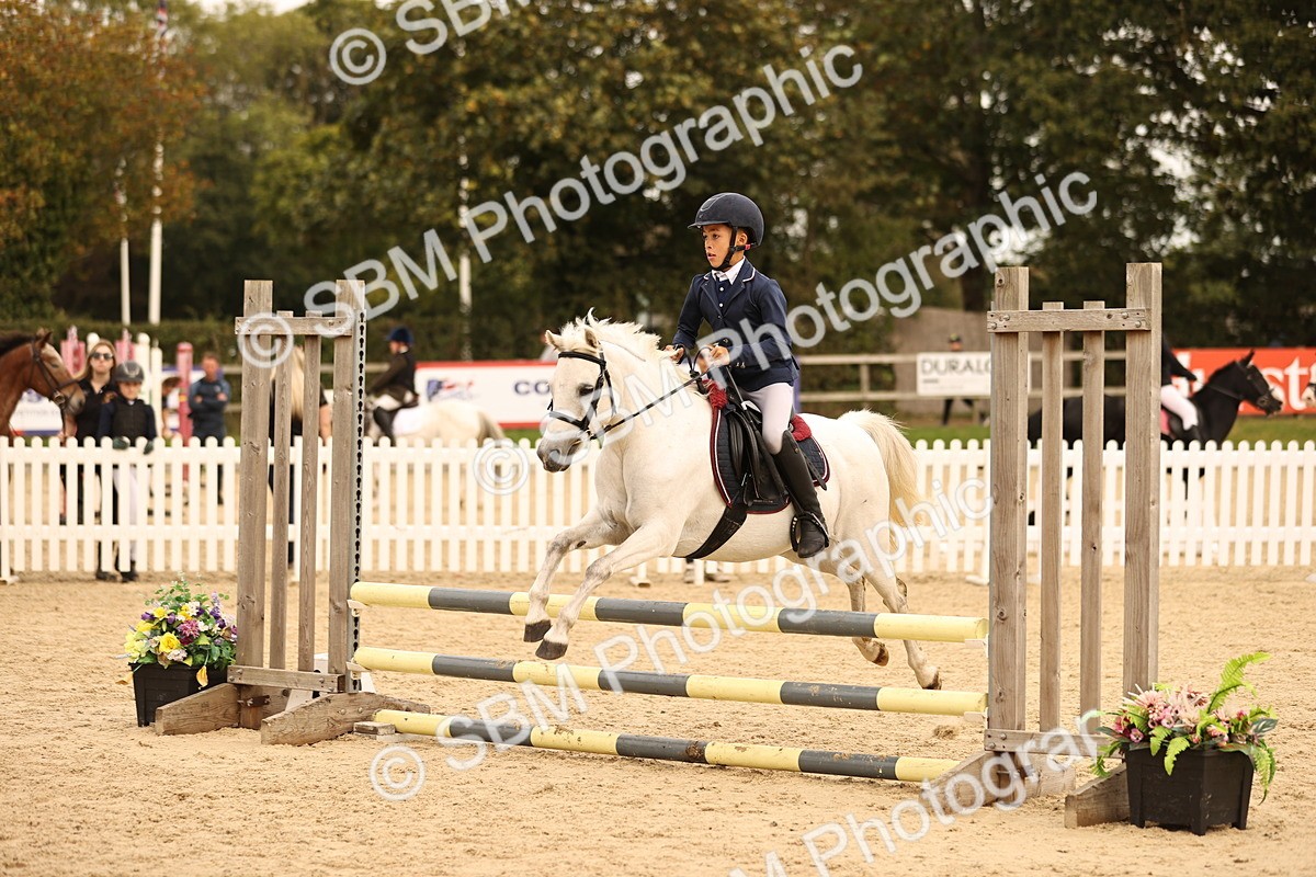 SBM_72473 - J14 - Junior Pony 65cm Championship