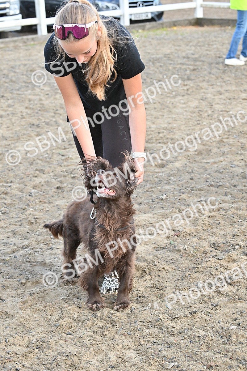 SBM_09537 - Lorry Dogs