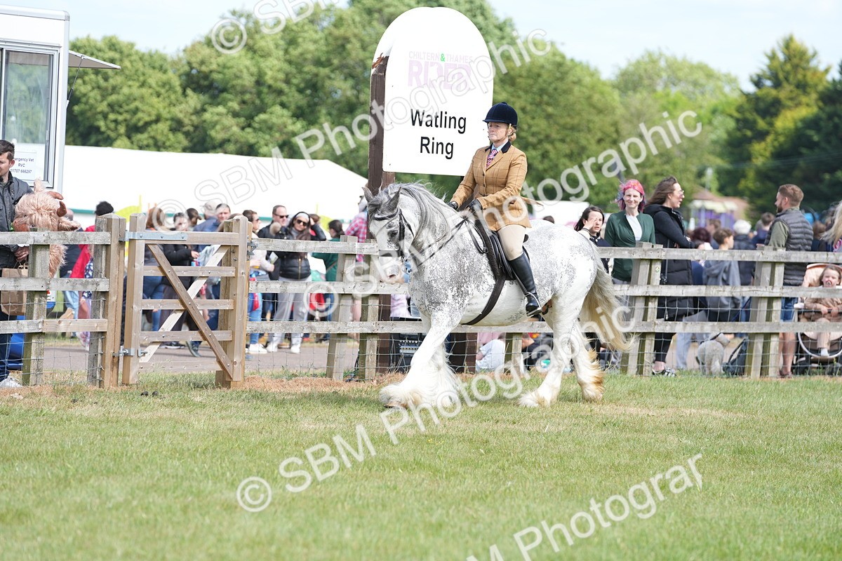 SBM_17147 - Class 107-108 - LIHS BSPS Performance Coloured Horse Pony