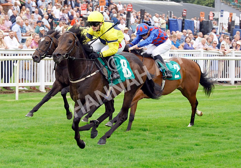 250725-Race 3-Lifeplan-88233 - Race 3