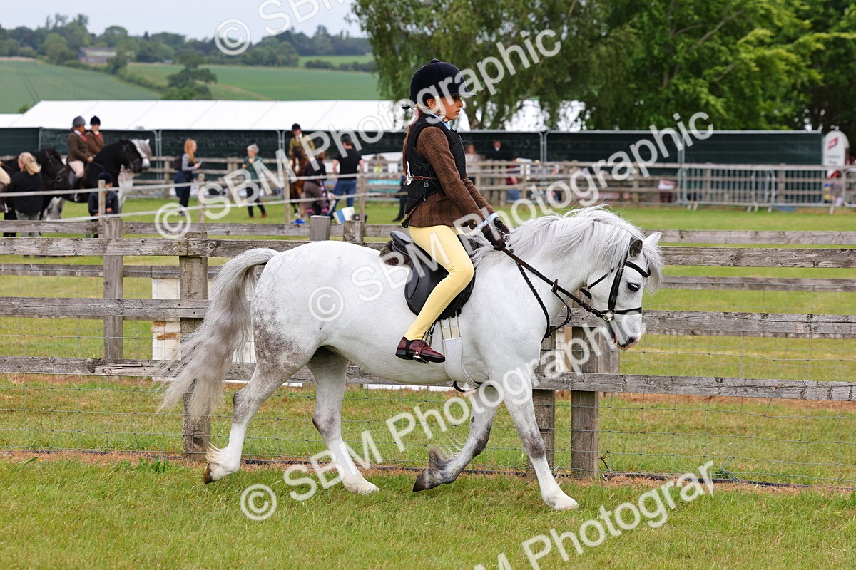 SBM_08533 - Class 42-43 - LIHS BSPS Heritage Working Sports Pony