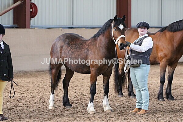 SIAL9514 - Indoor Classes