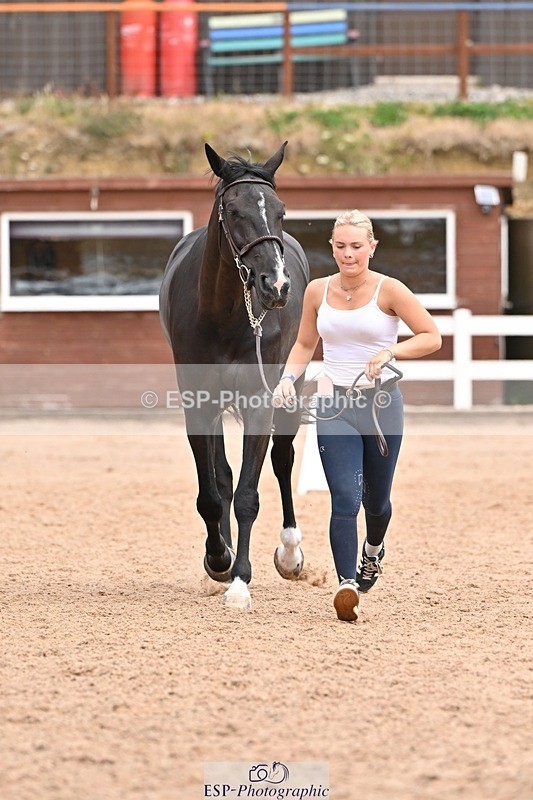 250716-144335-01333 - Trot Up 2.30 to 3.30