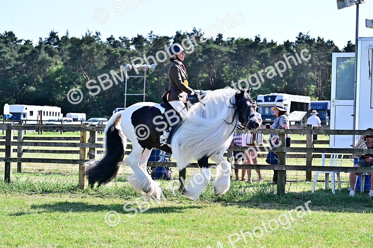SBM_19474 - Class 101-102 - BSPS LIHS Performance Coloured Horse/Pony