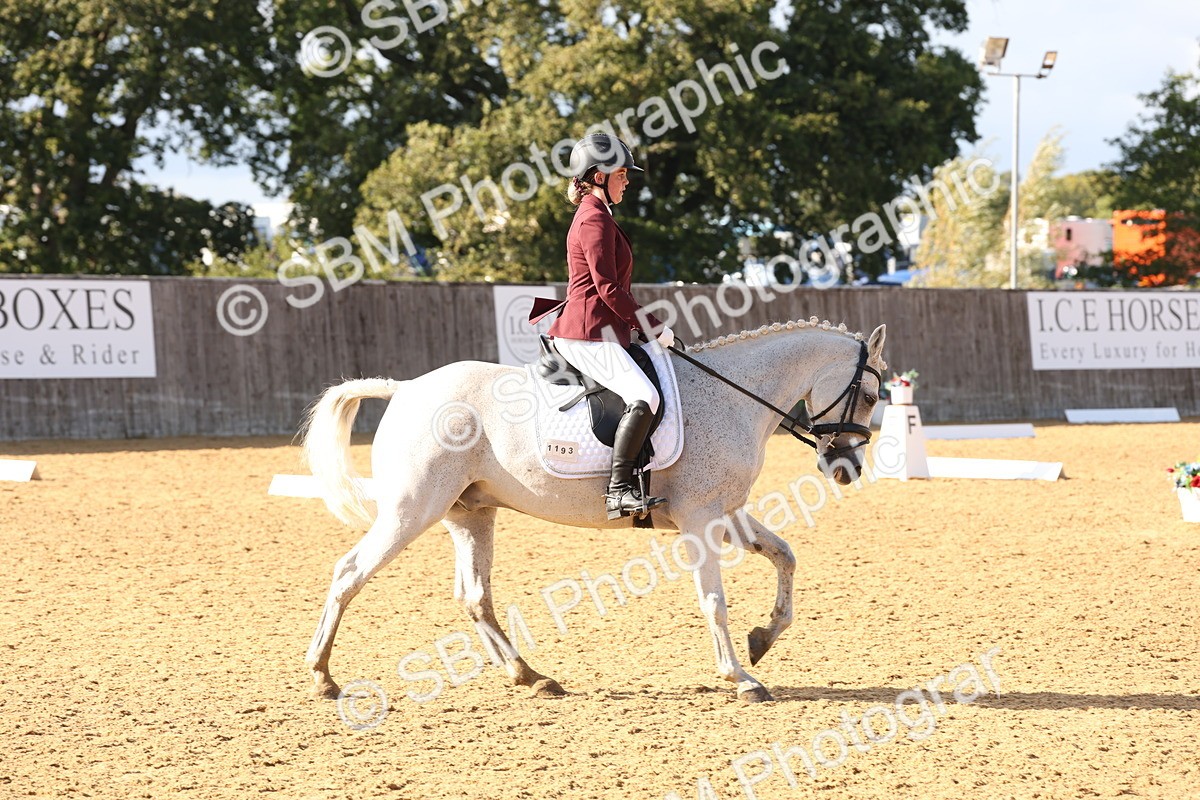 SBM_50474 - D12 - Small Tour Championship prelim 2